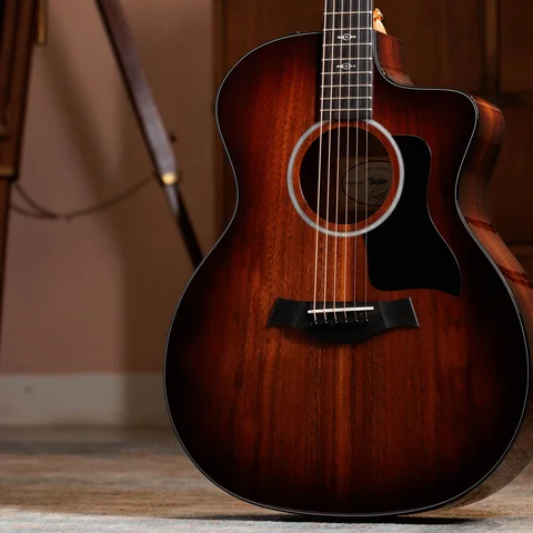 Taylor Guitars | ギターとアクセサリーを買う